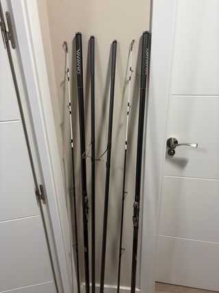 Cañas Daiwa Tournament Competition Z 33 Hibrida