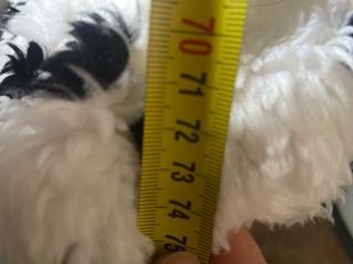 Disfraz de dálmata infantil