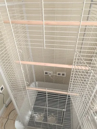 Jaula para loro grande plateada