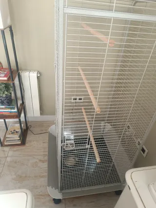 Jaula para loro grande plateada