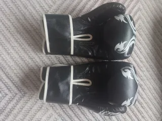 Guantes de Boxeo para Principiantes