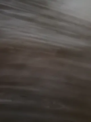 Chaqueta de piel, con pelo en el cuello