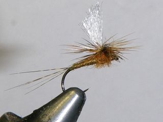 MOSCAS PARA LA PESCA DE TRUCHAS