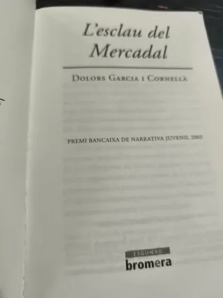 L'esclau del Mercadal