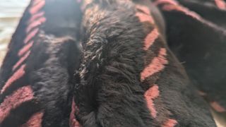 Chaquetón Garcipiel Toledo Pelo Negro Rosa