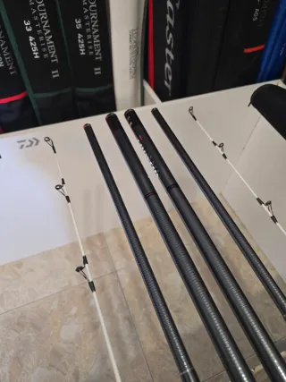 CAÑAS DAIWA TOURNAMENT SURF Z 30-425H