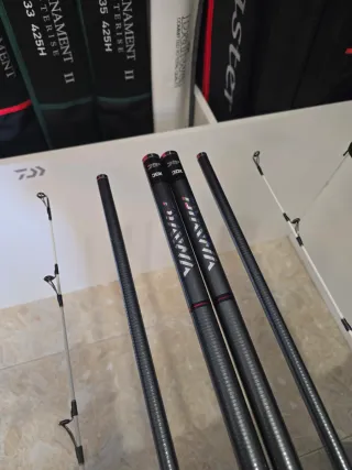 CAÑAS DAIWA TOURNAMENT SURF Z 30-425H
