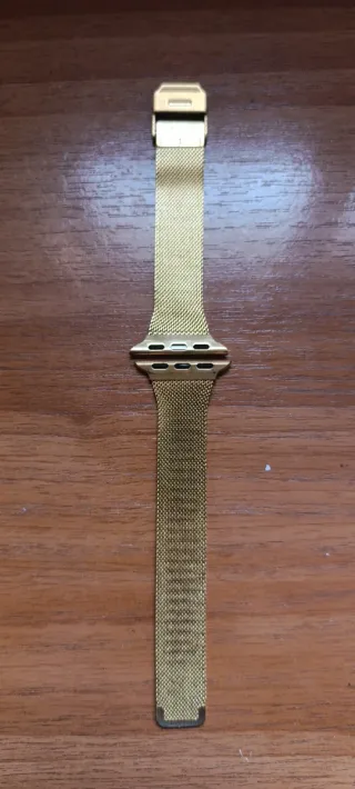 Correas Smartwatch Negro y Dorado