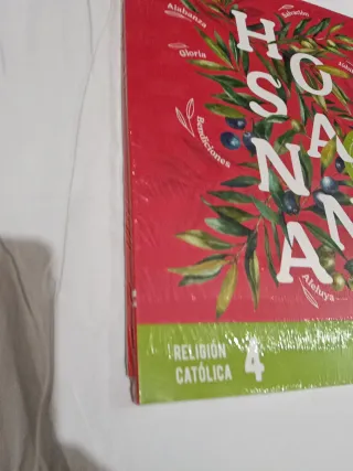 Proyecto: FanFest. Religión católica 4