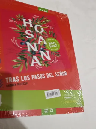 Proyecto: FanFest. Religión católica 4