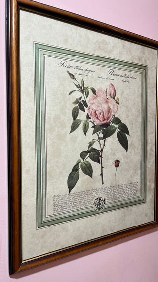 Cuadro de flores, rosa indica