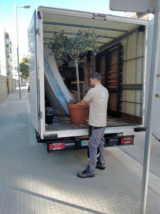 Plataforma elevadora para mudanzas