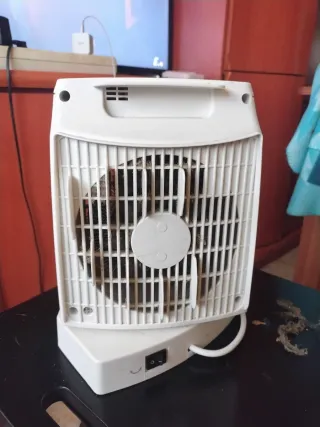 Calefactor Ufesa Persel Oscilante IP21