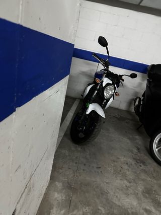 Suzuki Gladius 2016 Naked