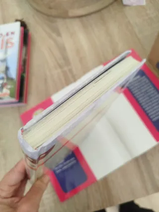 Carnaval en Venecia: Tea Stilton 25