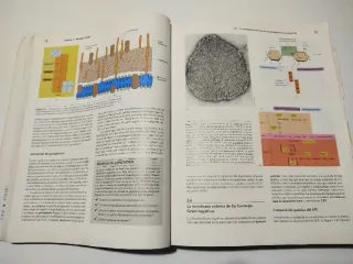 BROCK: BIOLOGIA DE LOS MICROORGANISMOS, 8ª Edición