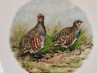 🇫🇷 Platos Aves Caza llanos