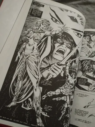 Conan cover Blas Gallego