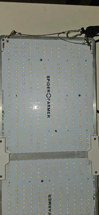 Lampada Spider Farmer Grow LED SF-2000 50-60 HZ AC