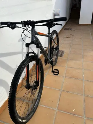 Bicicleta de montaña NTT 29