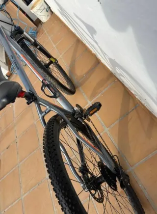 Bicicleta de montaña NTT 29