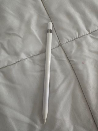 iPad 8ª Gen + Apple Pencil Original