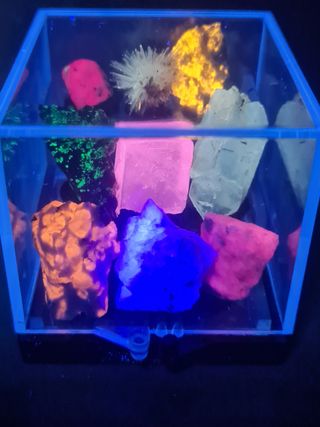 Espositore con Minerali Fluorescenti 365nm