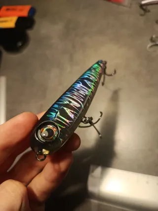 Paseante para pesca a spinning