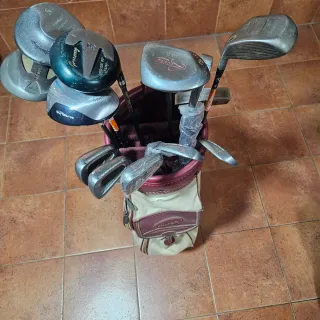 14 Palos de Golf y Bolsa Beige