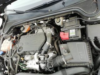 Ford Focus 1.5 Ecoblue Trend+ 88 kW (120 CV)