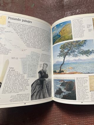 TESTIMONIO VISUAL DEL ARTE MONET