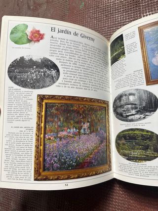 TESTIMONIO VISUAL DEL ARTE MONET