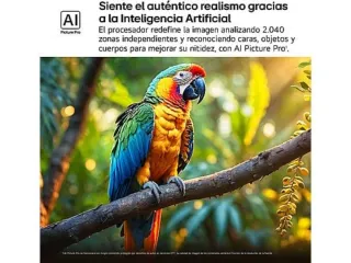 TV LG QNED 75 UHD 4K