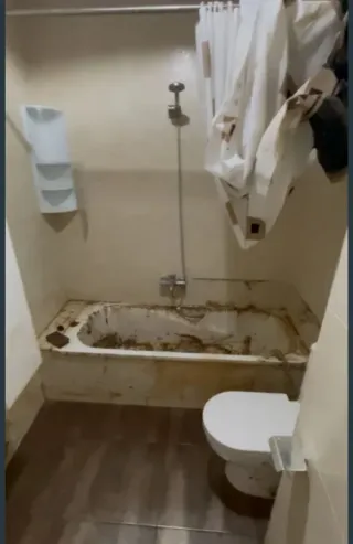 Ofrezco servicios de limpieza en casas