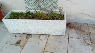 Jardinera de piedra blanca