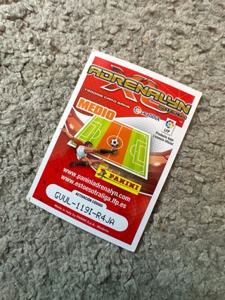 Carta Griezmann 2013/2014