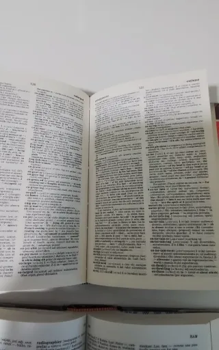 Lote de 3 diccionarios de inglés, alemán y francés