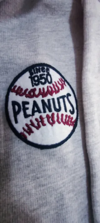 Sudadera Peanuts Gris Cremallera