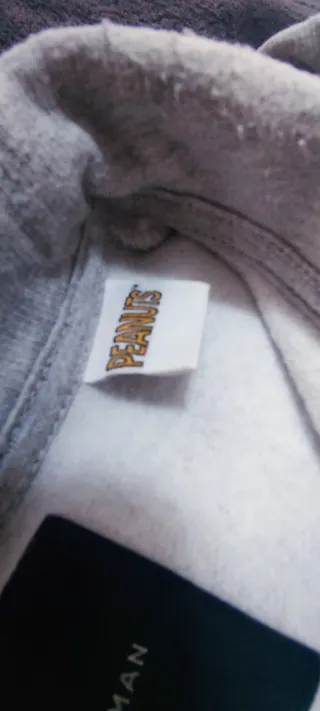 Sudadera Peanuts Gris Cremallera