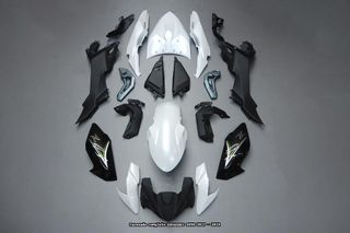 Oferta especial Carenado KAWASAKI Z650 2017 2019