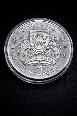 Moneda 1 onza Plata 10 Dollari 31,06g Aquila reale