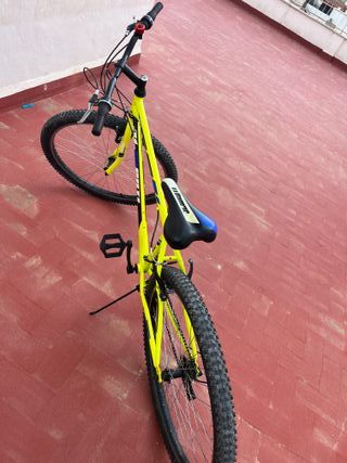 Bicicleta de Montañas