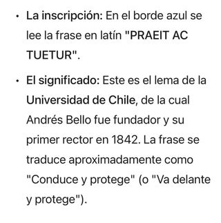 Pin antiguo con retrato