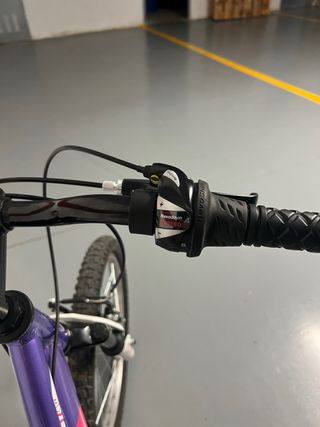 2 Bicicletas B-PRO 20” Moradas