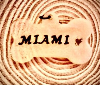 Placa identificativa para mascota personalizada