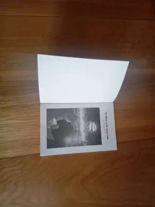 THE GHOST OF GREEN LADY.3êESO.BURLINGTON