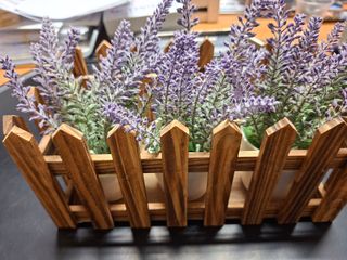 Staccionata in legno con 3 piantine