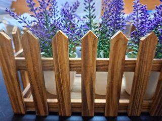 Staccionata in legno con 3 piantine