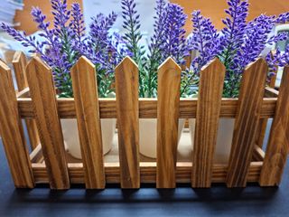 Staccionata in legno con 3 piantine