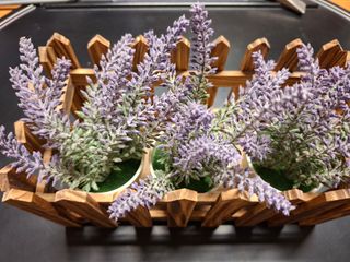 Staccionata in legno con 3 piantine